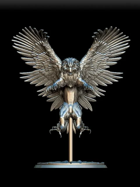 Detail View focusing on facial features, feather texture, and talon definition