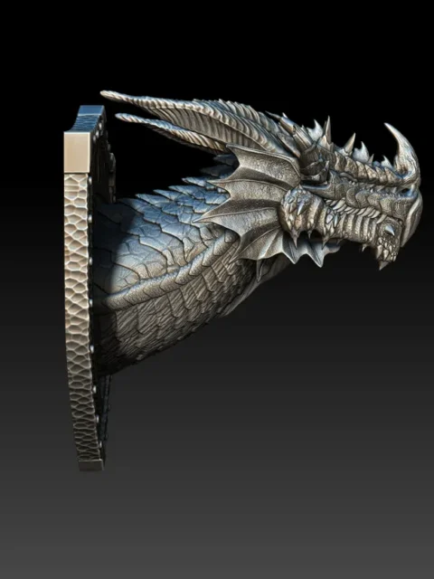 Right Profile highlighting elongated horn, serrated teeth, and rigid frill arcs