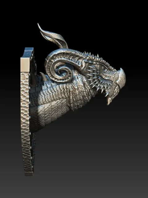 Right Profile showing dense scale texture, coiled horn spiral, and pronounced snout