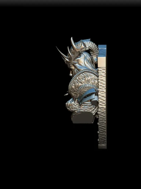 Left Profile emphasizing facial structure and shield-style backing