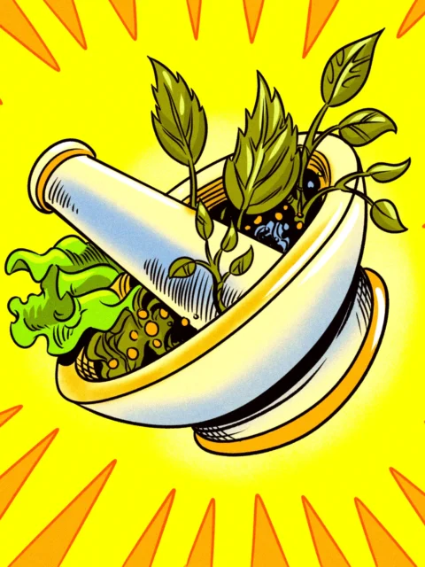 Alternative view of Health Paultice Art Canvas Print from Ward TCG