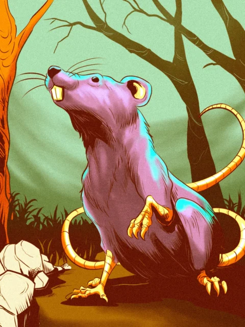 Alternative view of Rodent Art Fantasy Canvas Artwork from Ward TCG