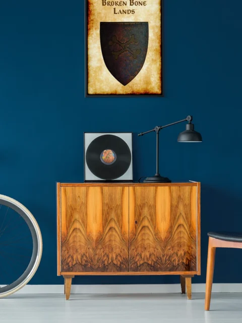 Broken Bone Lands Gallery Canvas Print from Anna Meyer