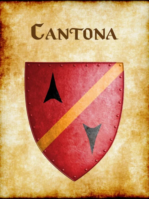 Alternative view of Cantona Fantasy Canvas Artwork from Anna Meyer