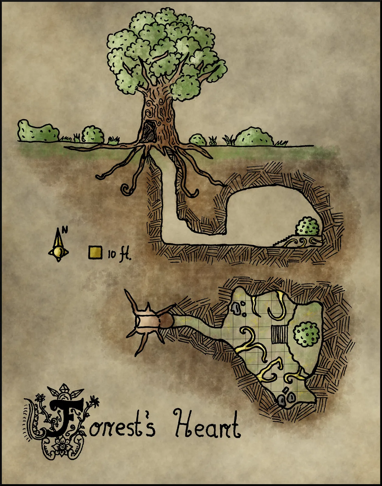 Forest S Heart Canvas Wall Art from Elven Tower Cartography
