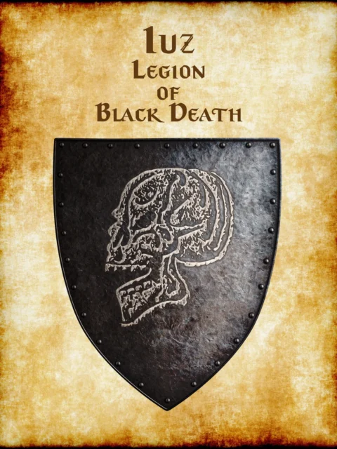 Alternative view of Iuz Legion Of Black Death Canvas Art Print from Anna Meyer