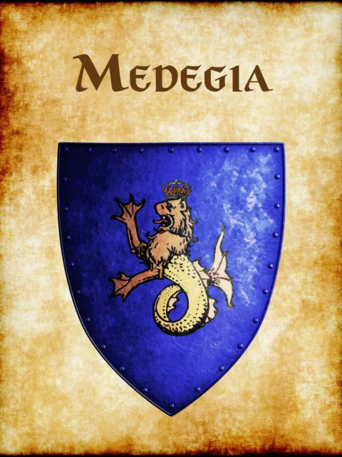 Alternative view of Medegia Gallery Canvas Print from Anna Meyer