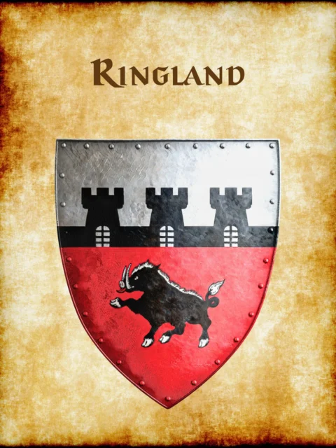 Alternative view of Ringland Canvas Wall Art from Anna Meyer