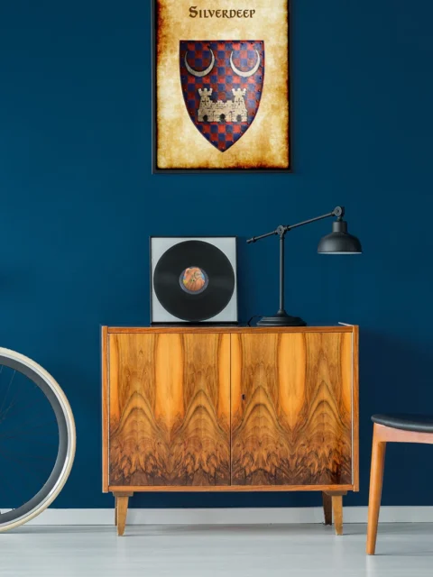 Silverdeep Gallery Canvas Print from Anna Meyer