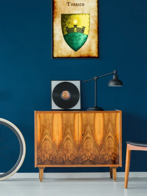 Torrich Fantasy Canvas Artwork from Anna Meyer